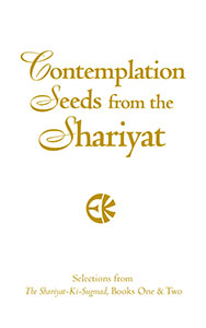 Contemplation Seeds from the Shariyat